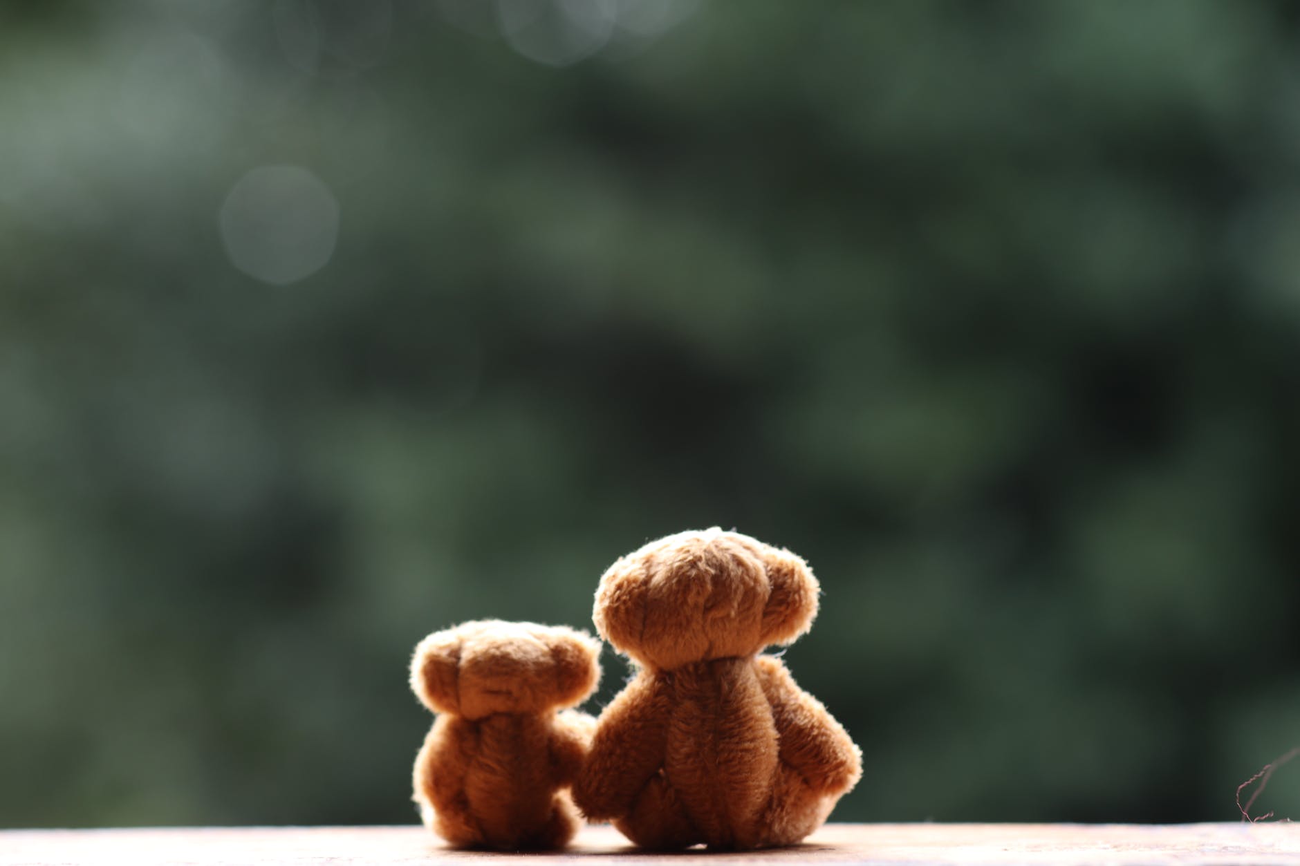 two brown teddy bears