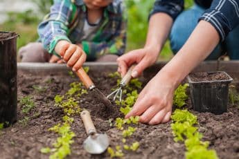 How To Get Your Kids Excited About Gardening